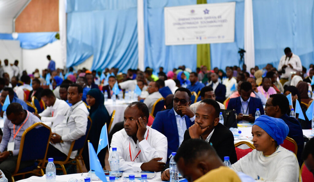 This image has an empty alt attribute; its file name is somali-y-lp-1024x593.jpg